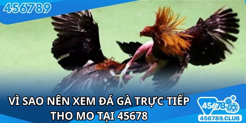 45678 đem lại nhiều lợi ích khi tham gia tại nền tảng