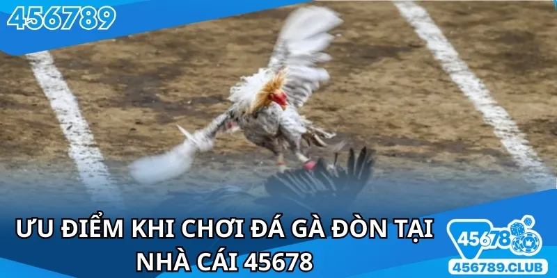 45678 đem lại những pha đấu trực tuyến đầy hấp dẫn