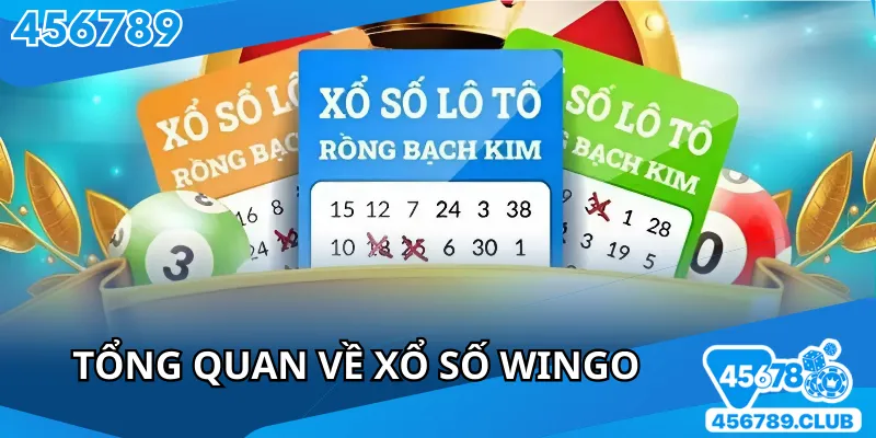 Cái nhìn tổng quan về xổ số WINGO bạn cần biết