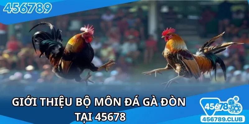 Đá gà đòn là bộ môn được yêu thích nhà cái hiện nay