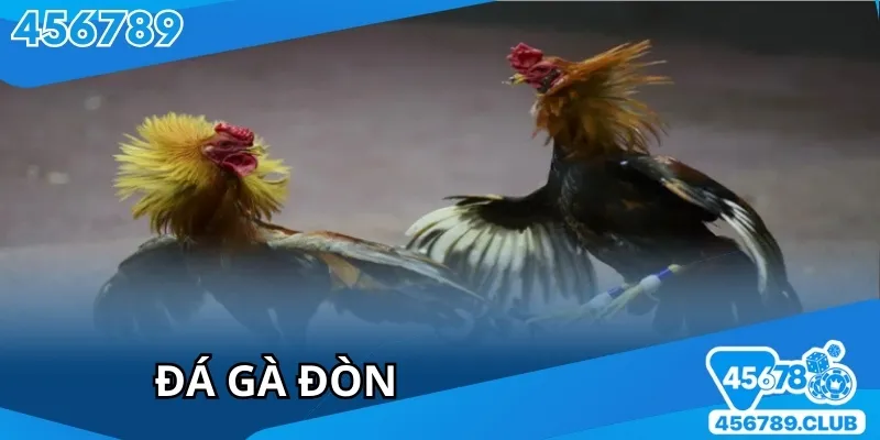 Đá Gà Đòn