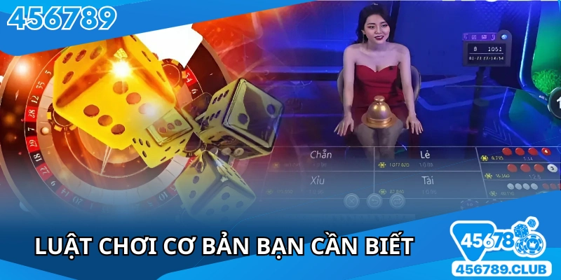Giới thiệu luật chơi cơ bản dành cho người mới