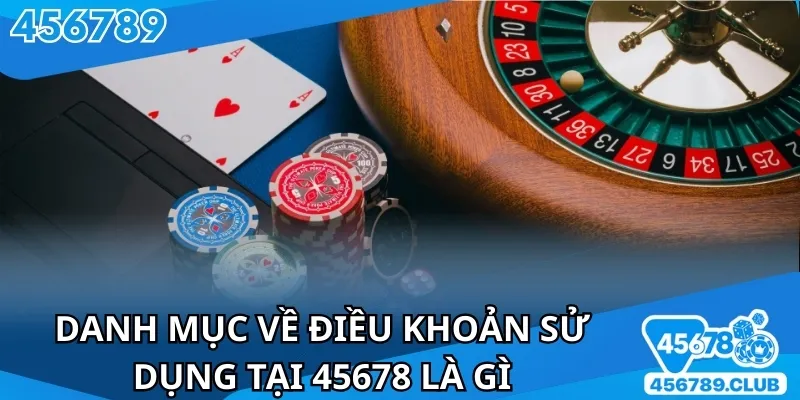 Tìm hiểu các điều khoản sử dụng khi chơi tại 45678
